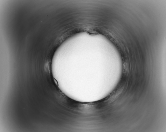 X0000094320286200711301214