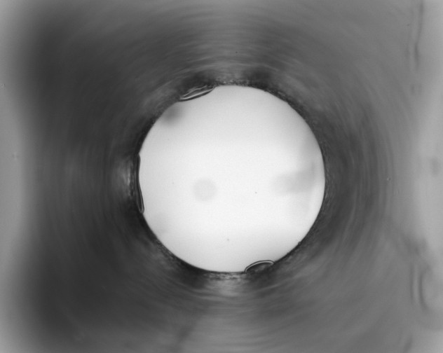 X0000094320288200711301214