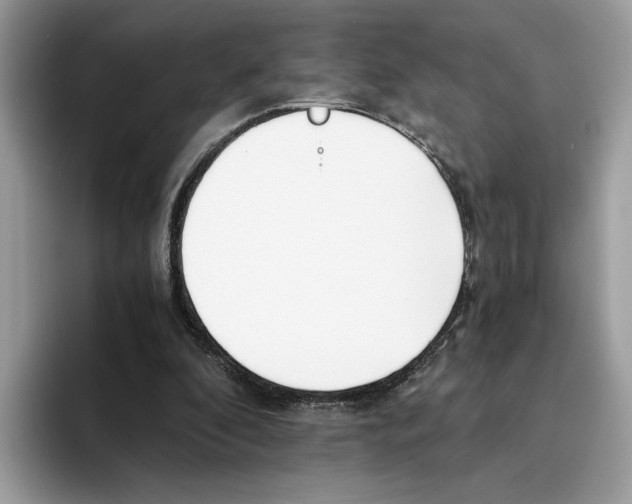 X0000094320296200711301214