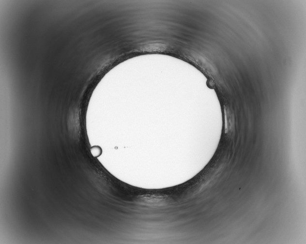 X0000094320300200711301214