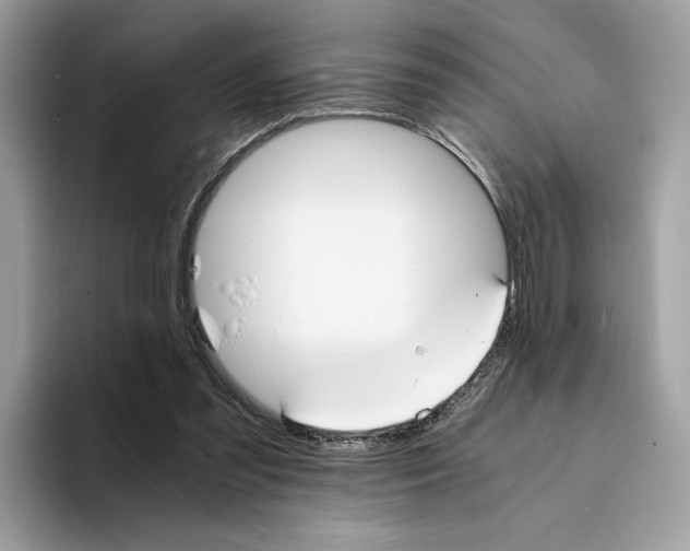 X0000094320301200711301214