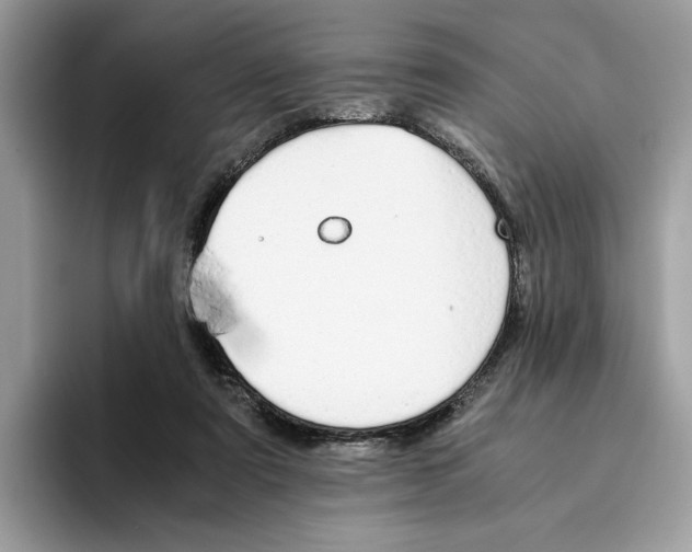 X0000094320307200711301214