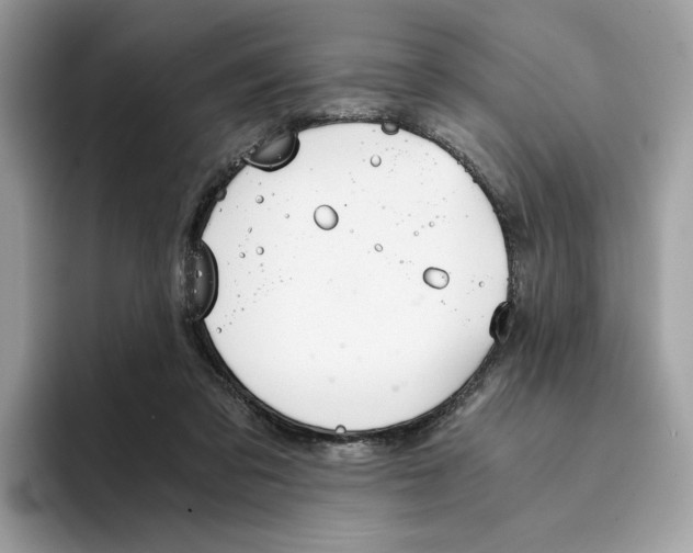 X0000094320309200711301214