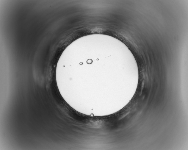 X0000094320311200711301213