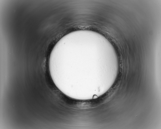 X0000094320319200711301213