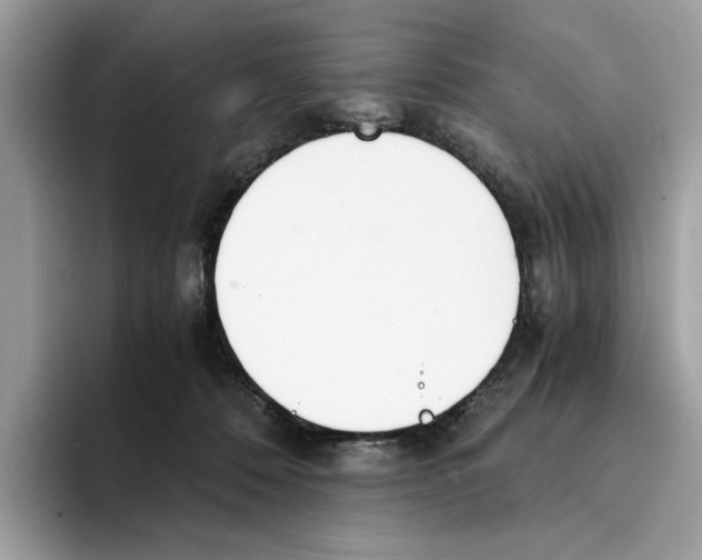 X0000094320320200711301213