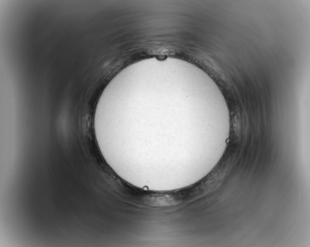 X0000094320322200711301213