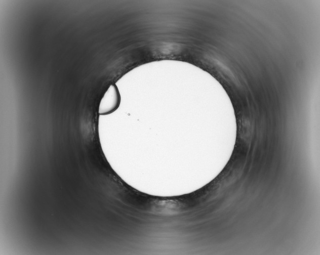 X0000094320324200711301213