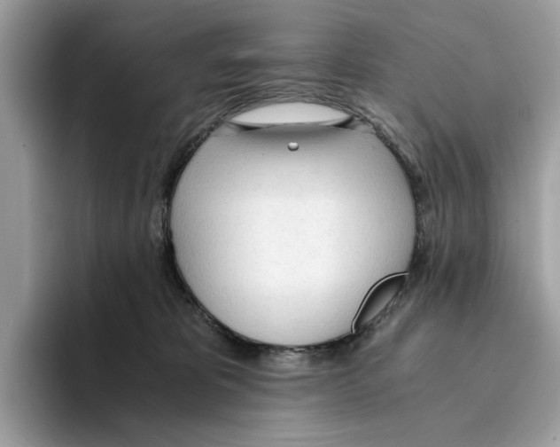 X0000094320325200711301213