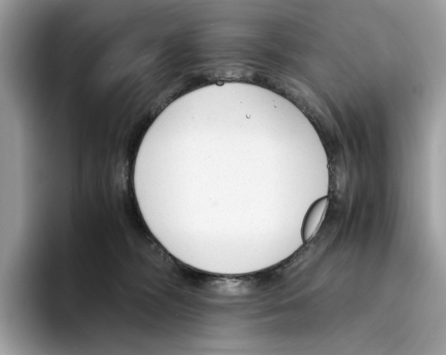 X0000094320326200711301213