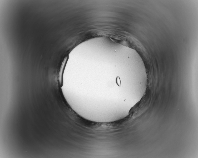 X0000094320329200711301213