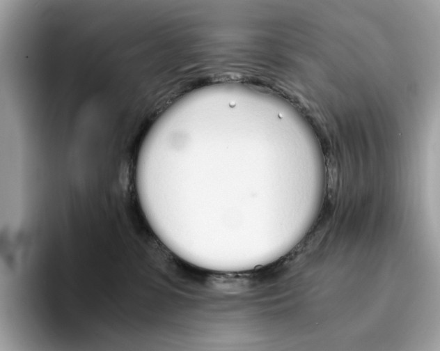 X0000094320331200711301213