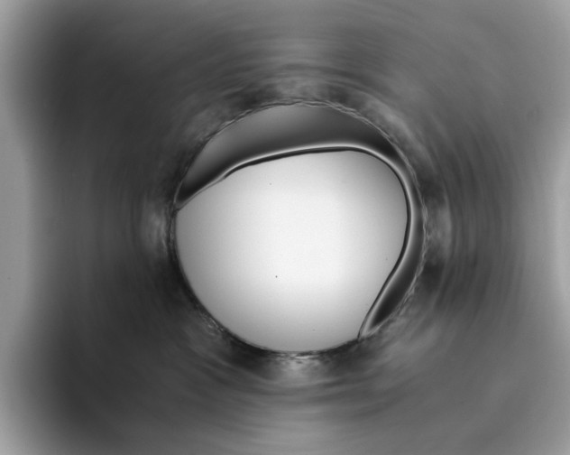 X0000094320333200711301213