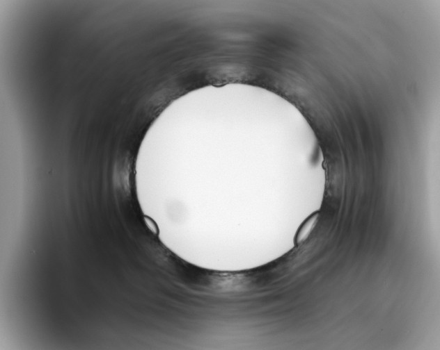 X0000094320334200711301213