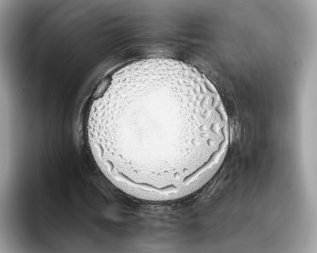 X0000094320339200711301213