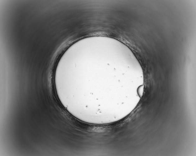 X0000094320341200711301213