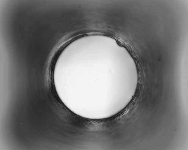 X0000094320343200711301213