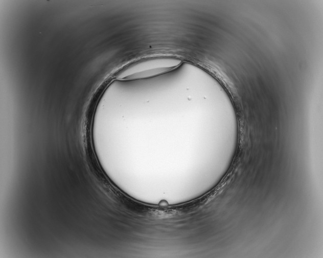 X0000094320346200711301213