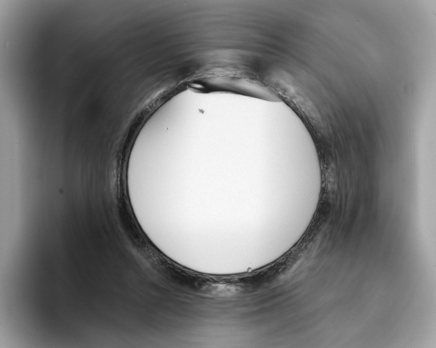 X0000094320352200711301213