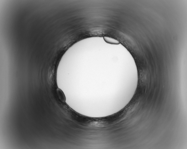 X0000094320364200711301213