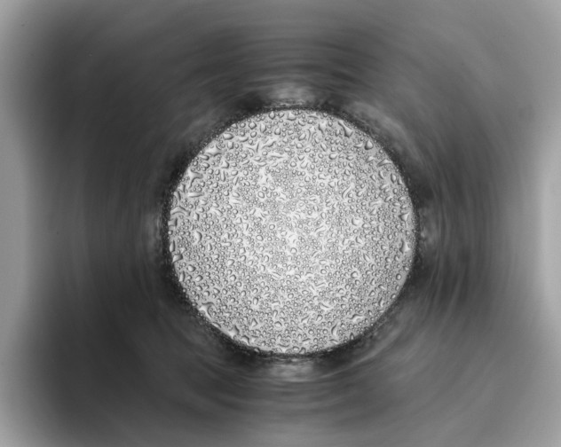 X0000094320369200711301213