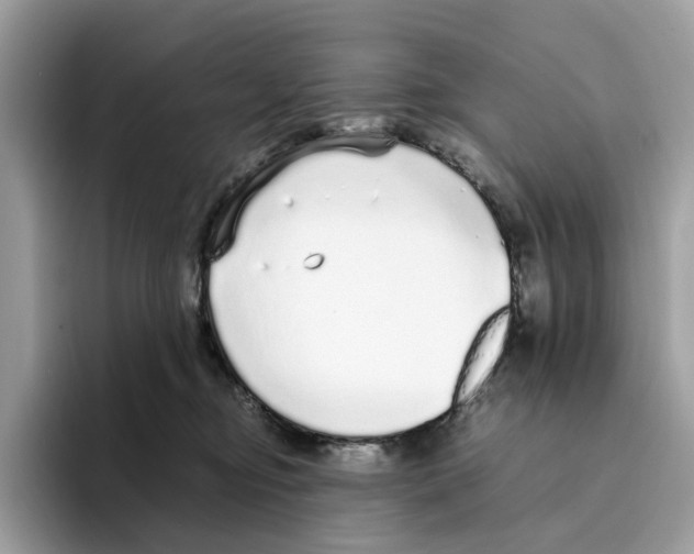 X0000094320374200711301213