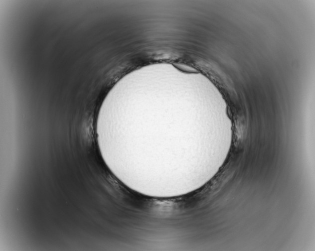 X0000094320376200711301213