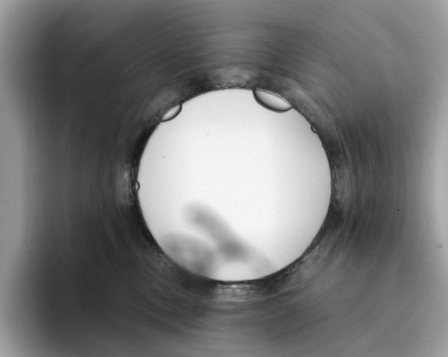 X0000094320378200711301213