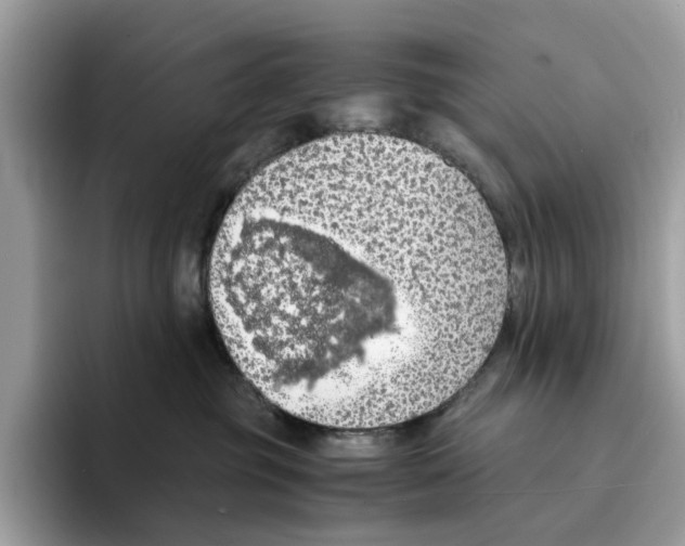 X0000094320381200711301213