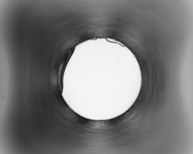 X0000094320384200711301213