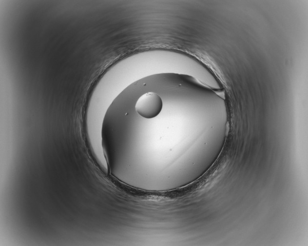 X0000094320393200711301212