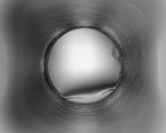 X0000094320395200711301212