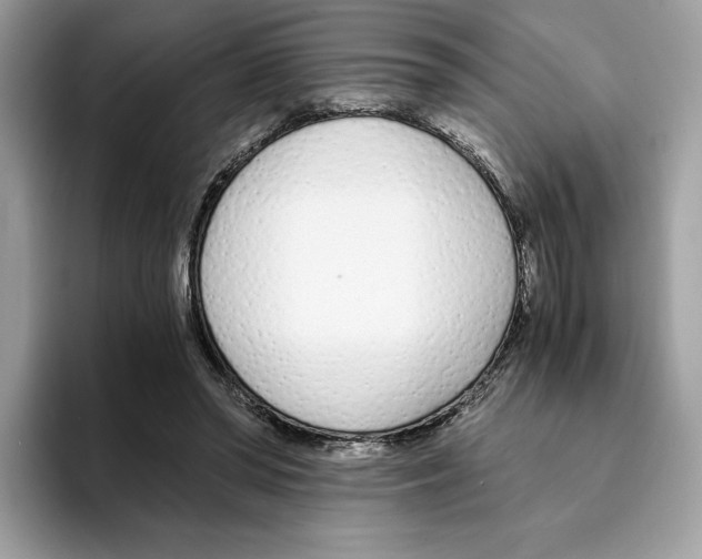 X0000094320398200711301212