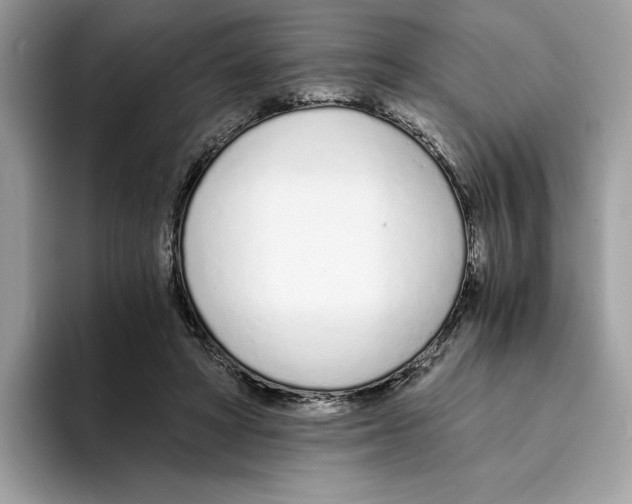 X0000094320402200711301212