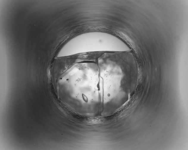 X0000094320405200711301212