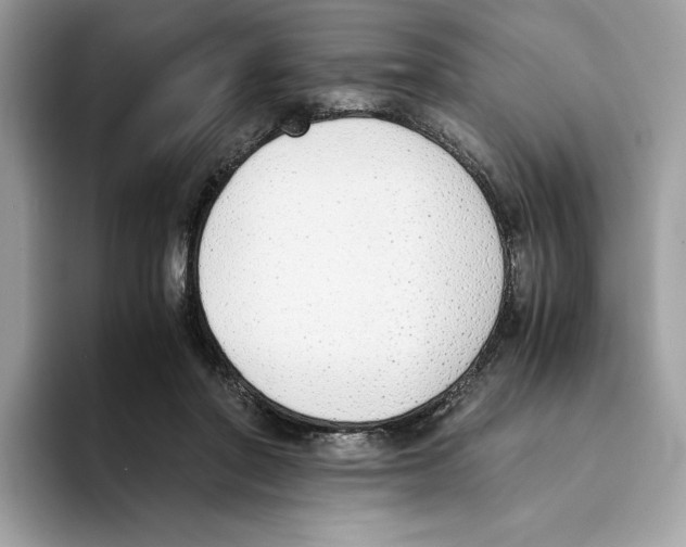 X0000094320406200711301212