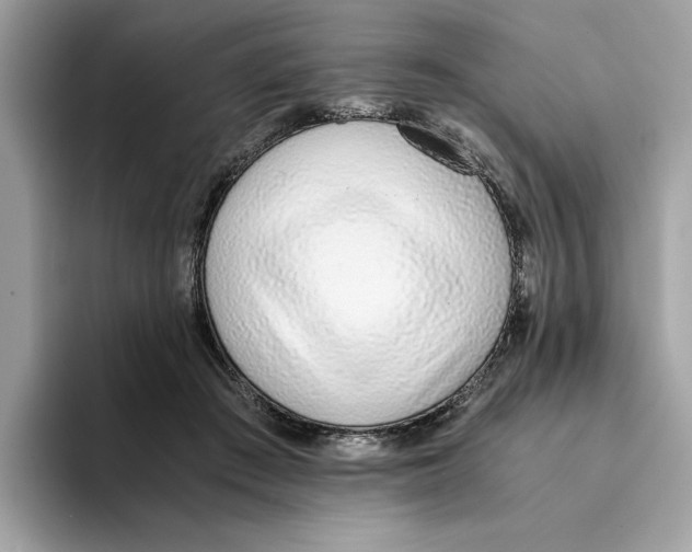 X0000094320409200711301212