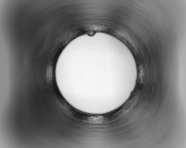 X0000094320410200711301212