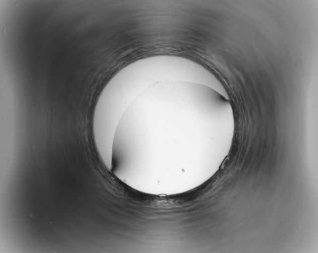 X0000094320413200711301212