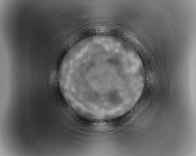 X0000094320419200711301212