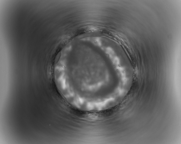 X0000094320423200711301212