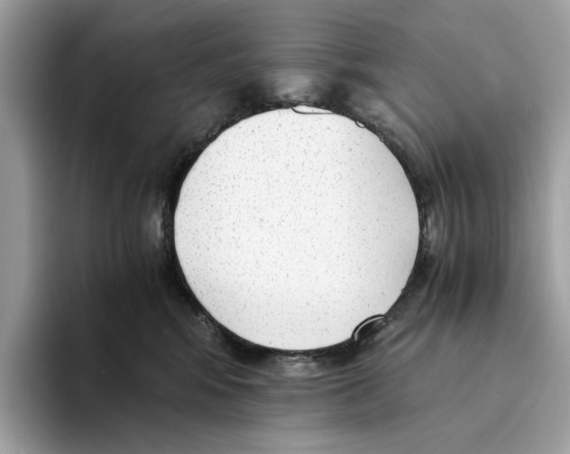 X0000094320424200711301212