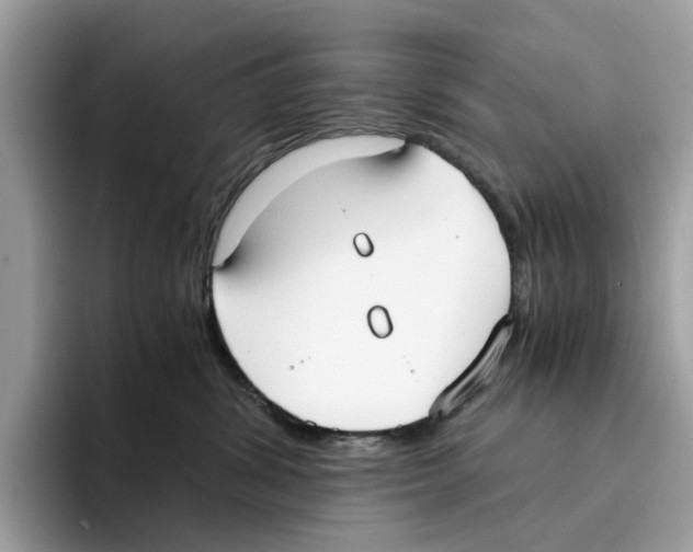 X0000094320428200711301212