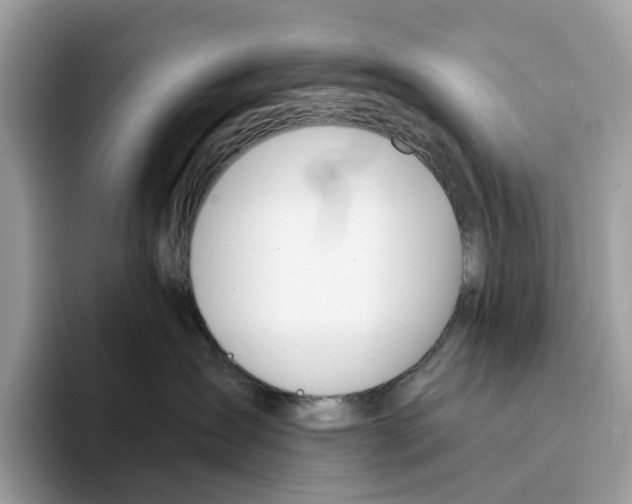 X0000094320431200711301212