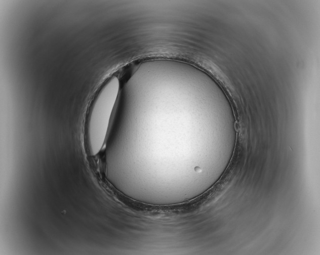 X0000094320434200711301211