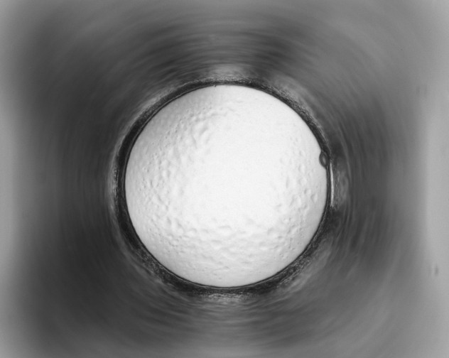 X0000094320435200711301211