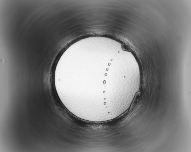 X0000094320439200711301211