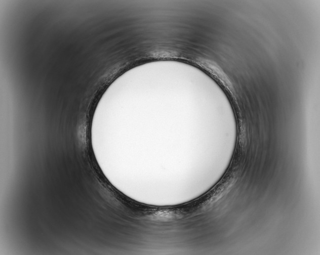 X0000094320441200711301211