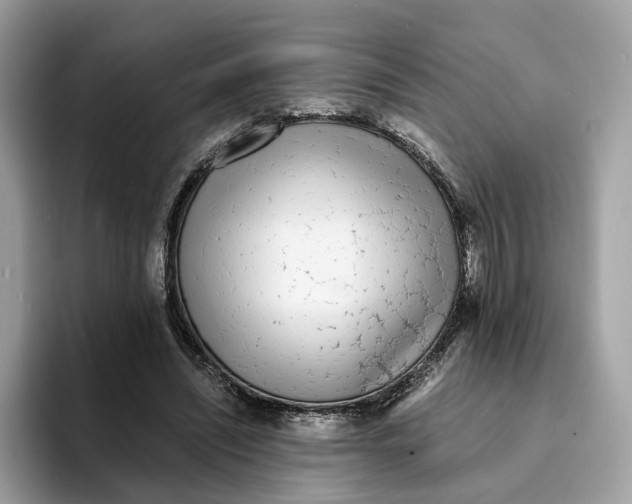 X0000094320444200711301211