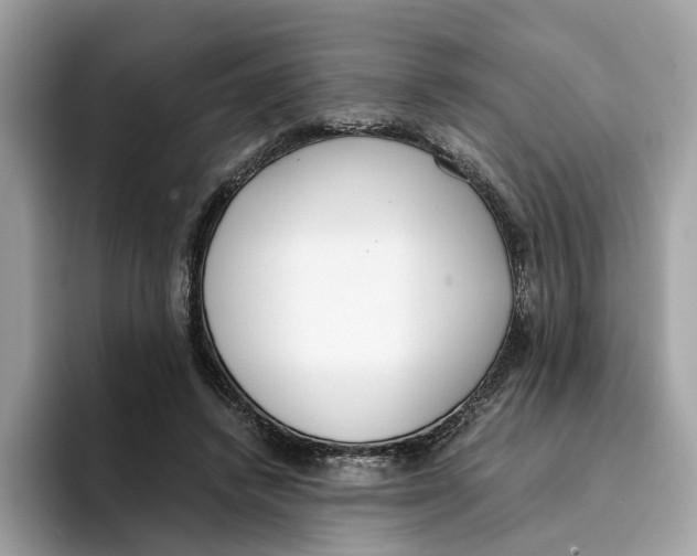 X0000094320448200711301211